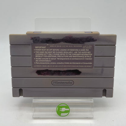 SimAnt (Super Nintendo SNES, 1993)