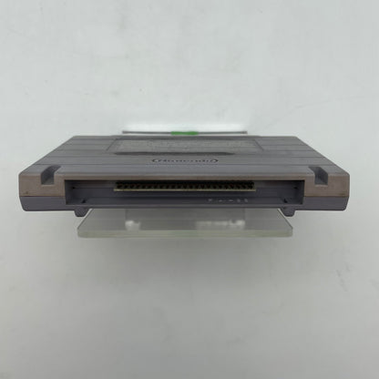 SimAnt (Super Nintendo SNES, 1993)