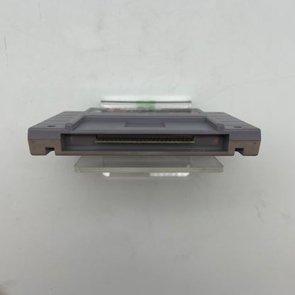 SimAnt (Super Nintendo SNES, 1993)